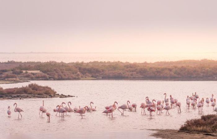 Apartamento A 300 Mts De La Playa, 25 Minutos De Port Aventura Y 50 De Barcelona Coma-ruga Zewnętrze zdjęcie
